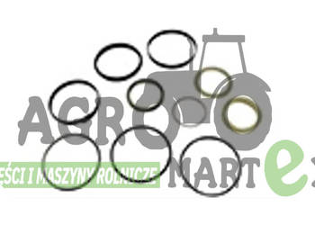 84209920, 87428630, 87406921, 87404259, 85819356, 85800982 ZESTAW USZCZELEK