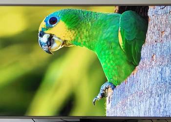 Samsung Smart TV 55 cali