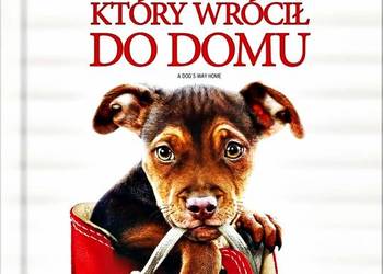 O PSIE, KTÓRY WRÓCIŁ DO DOMU    ( DVD + KS )