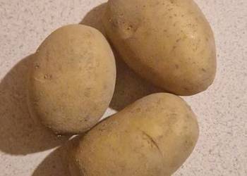 Ziemniaki jadalne Bryza