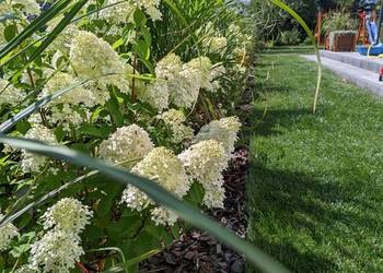 Koszenie, rozdrabnianie gałęzi, porządkowanie, wertykulacje, glebogryzarka