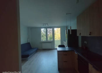 Saska Kępa kawalerka studio wynajem apartament