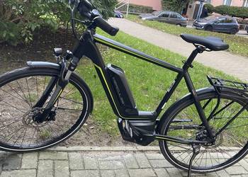 Rower Hercules Futura Sport