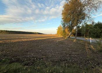 SPRZEDAŻY LUB DŁUGOTERMINOWEJ DZIERŻAWY ŻWIROWNI – KOCHOWO II