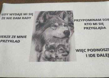 motywator na płotnie z wilkiem