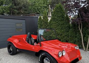 Vw Buggy