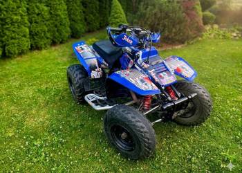 Yamaha Warrior 350 (raptor)