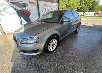 Audi a3 8p 1.6 tdi
