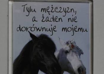 magnes magnesy lodówka lodówkę Polska konie zwierzęta