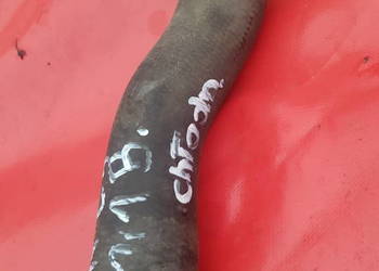 przewód gumowy chłodnicy citroen c3 1.1 Benzyna