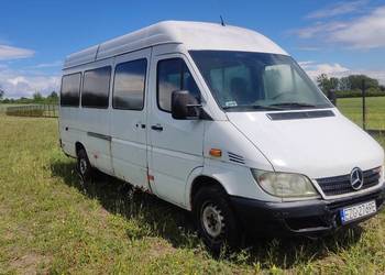 Sprinter