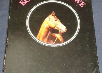 Konie rubinowe - Ireneusz J. Kamiński