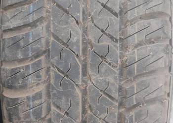 Opona Michelin ALLSEASON 175/70/14