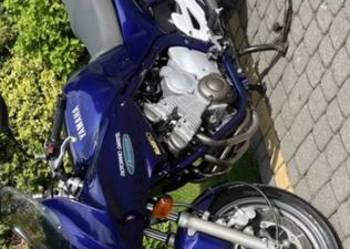 Yamaha diwersion