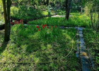 Ogródek Działkowy ROD Wyzwolenie Gliwice