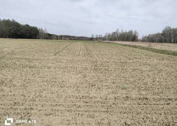 Sprzedam siewnik zbożowy talerzowy 3m agro masz
