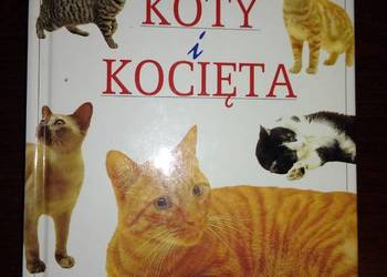 Koty i kocięta