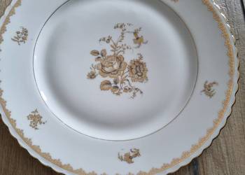 Talerze Porcelana Limoges