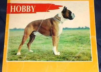 Boksery - Jerzy Kapyś