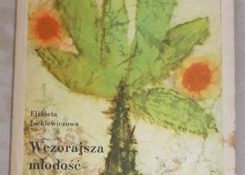 Wczorajsza młodość - Elżbieta Jackiewiczowa