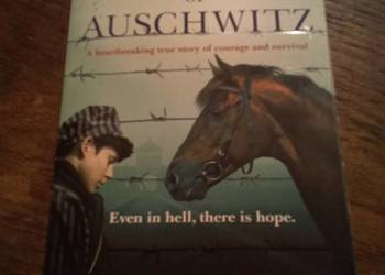 The stable boy of Auschwitz. Po angielsku!