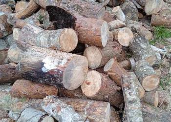 Sprzedam drewno opalowe