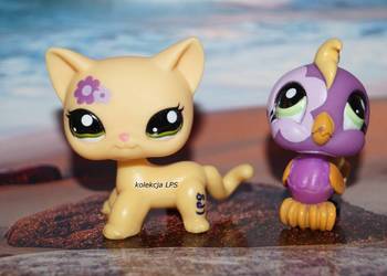 LPS Littlest Pet Shop shorthair #1962 oryginalny Nintendo #1961 kakadu