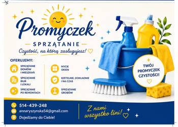 Oferuję sprzątanie