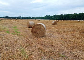 Słoma w belach Słoma w belach