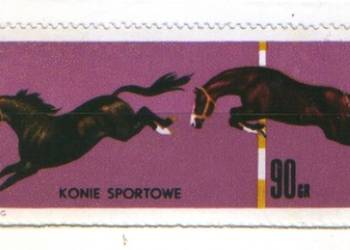 Zn. Fi 1304 ** 1963