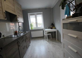 1pok, 24met, okolice Parku Prackiego TARAS/PO REMONCIE (Wrocław)