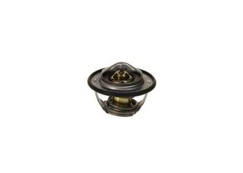 Termostat Iveco 504031212
