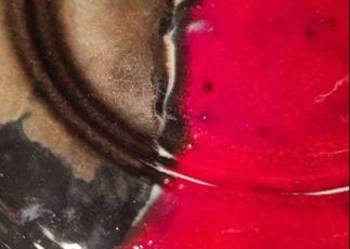 DEKORACYJNA PATERA, ENERGETYCZNY AKCENT HAND MADE