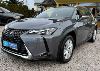 Lexus UX 250h,Hybryda,Idealny,Gwarancja