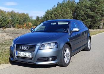 Audi A3 8P 1.9 TDI.