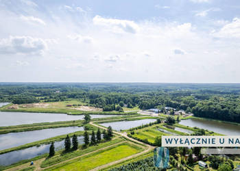 Sprzedaż gruntu Grzegorzewice Macierzanki 2200m2