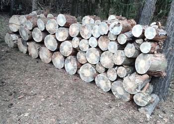 Sprzedam opał sosnowy