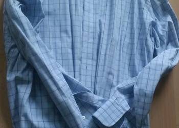 43, 176-182, XL,wólczanka, lambert, koszula męska z kołnierz