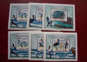 Komory 2009 MNH Fauna Ptaki Morskie Nakład 2500 szt