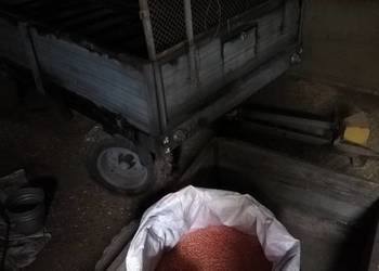 Sprzedam rozrzutnik Czarna białostocka.