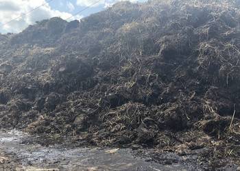 Obornik bydlęcy, wymiana