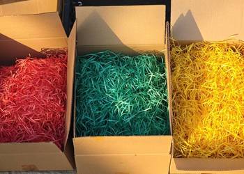 Wełna drzewna kolorowa