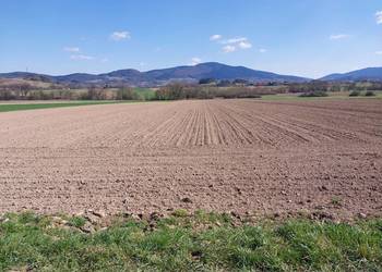 Sprzedam działke rolna 1.8 hektara