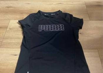 koszulka puma