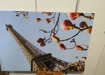 Obraz 100x70 na płótnie Paryż