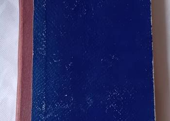 Władysław J. Grabski. Saga o jarlu Broniszu. Cz.3. PAX, 1961 r. Wydanie IV.