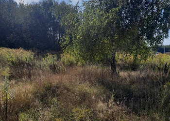 Ojrzanów działka budowlana bezpośrednio