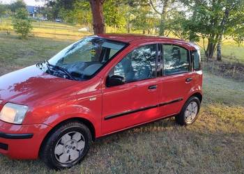 Panda fiat 1.2