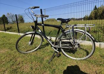 Rower Gazella ambiance