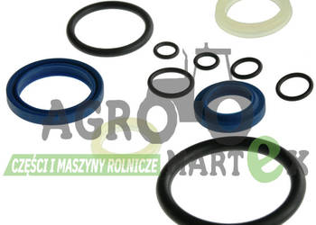 47430062, S300417, BN94021, 1023837 ZESTAW USZCZELNIEŃ CNH 47430062, S300417, BN94021, 1023837 ZESTAW USZCZELNIEŃ CNH